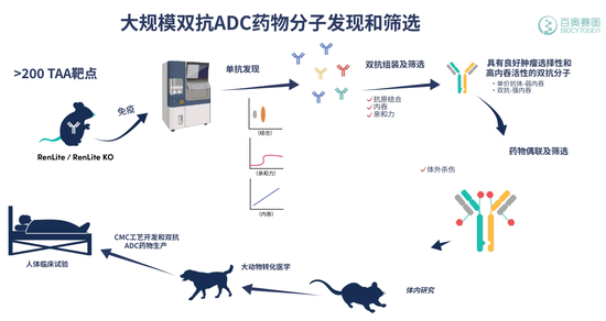 百奥赛图：双抗纪元下的“价值创造者”_百奥赛图：双抗纪元下的“价值创造者”_