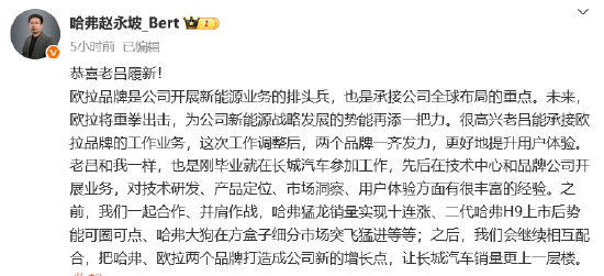 _长城欧拉哪里有卖的_长城是否关闭