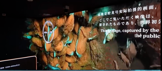 _大阪世博会理念_大阪世博会日本馆