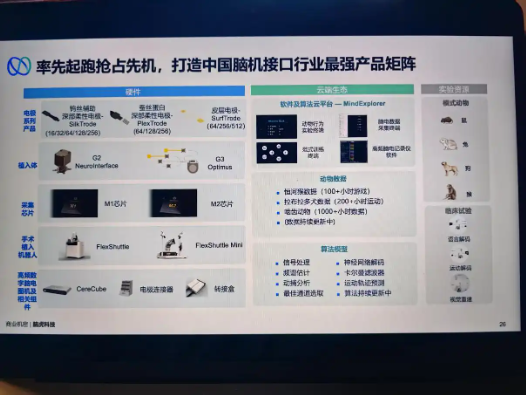 脑人网络是干什么的_脑机接口人脑_