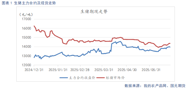 稀土价格持续反弹__反弹式猪价上涨