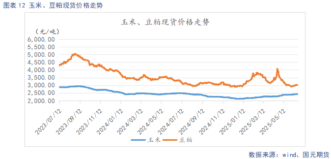 _稀土价格持续反弹_反弹式猪价上涨