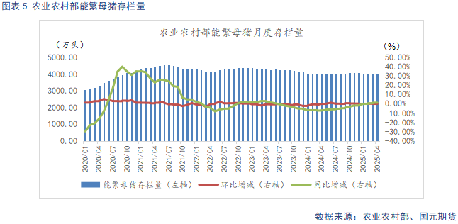 _稀土价格持续反弹_反弹式猪价上涨
