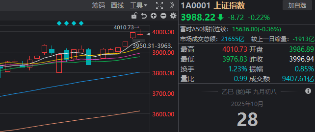 缓慢的节奏__慢节奏什么意思