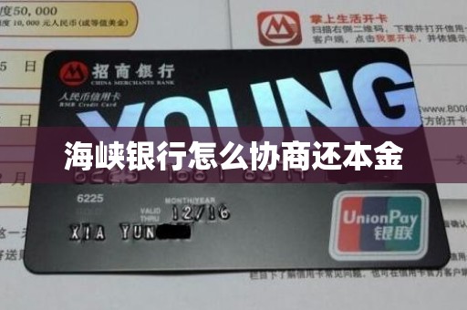 海峡银行怎么协商还本金