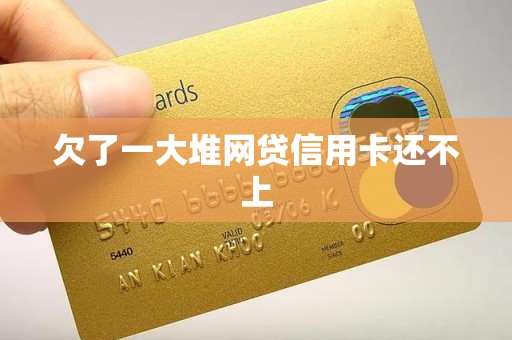 欠了一大堆网贷信用卡还不上
