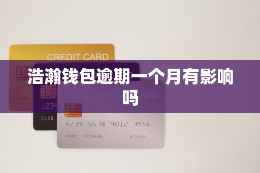 浩瀚钱包逾期一个月有影响吗