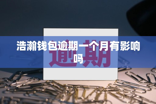 浩瀚钱包逾期一个月有影响吗