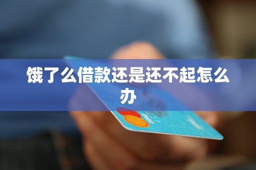 饿了么借款还是还不起怎么办