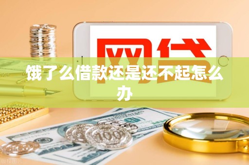 饿了么借款还是还不起怎么办