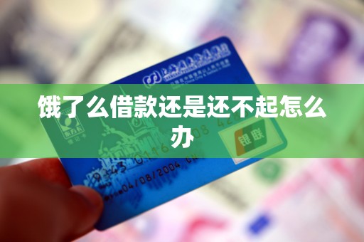 饿了么借款还是还不起怎么办