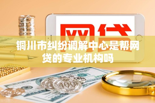 铜川市纠纷调解中心是帮网贷的专业机构吗