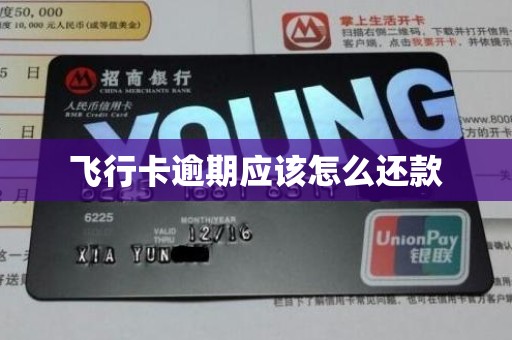飞行卡逾期应该怎么还款