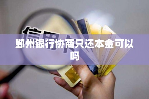 鄞州银行协商只还本金可以吗