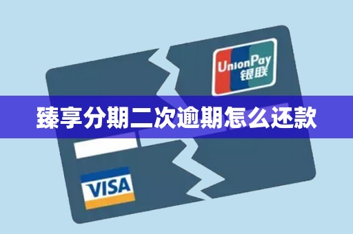 臻享分期二次逾期怎么还款 臻享分期二次逾期怎么还款