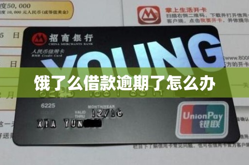 饿了么借款逾期了怎么办