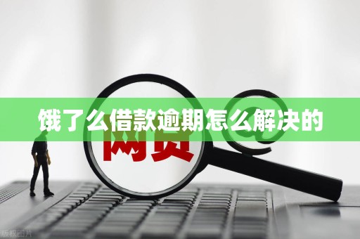 饿了么借款逾期怎么解决的