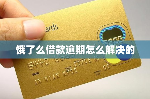 饿了么借款逾期怎么解决的 饿了么借款逾期怎么解决的