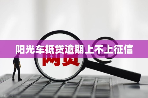 阳光车抵贷逾期上不上征信