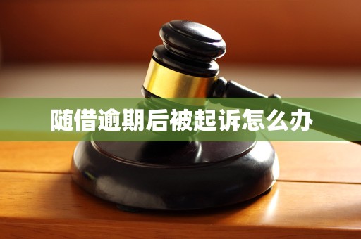 随借逾期后被起诉怎么办