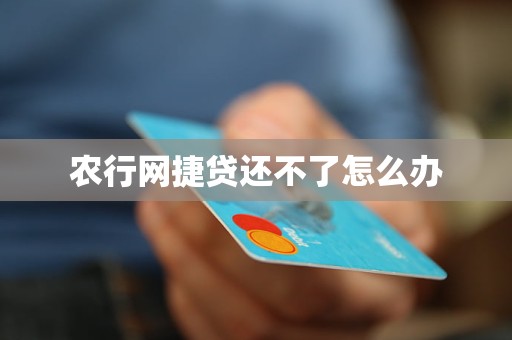 农行网捷贷还不了怎么办