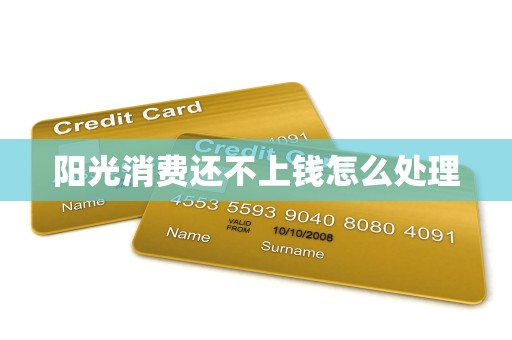 阳光消费还不上钱怎么处理