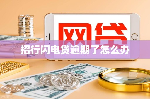 招行闪电贷逾期了怎么办