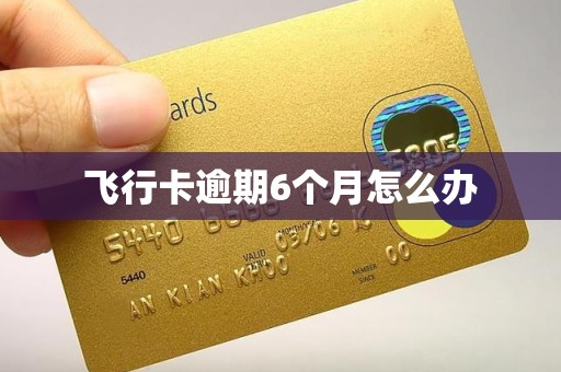 飞行卡逾期6个月怎么办