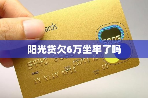 阳光贷欠6万坐牢了吗 阳光贷欠6万坐牢了吗