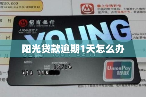 阳光贷款逾期1天怎么办