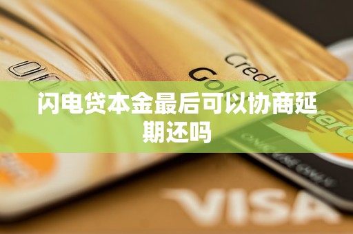 闪电贷本金最后可以协商延期还吗