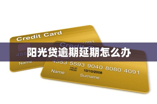 阳光贷逾期延期怎么办 阳光贷逾期延期怎么办