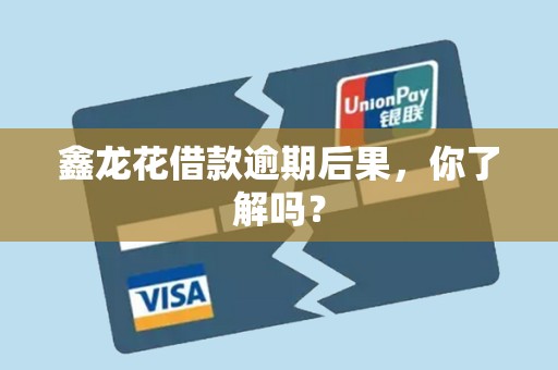 鑫龙花借款逾期后果，你了解吗？