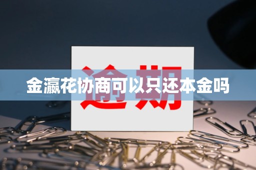 金瀛花协商可以只还本金吗 金瀛花协商可以只还本金吗