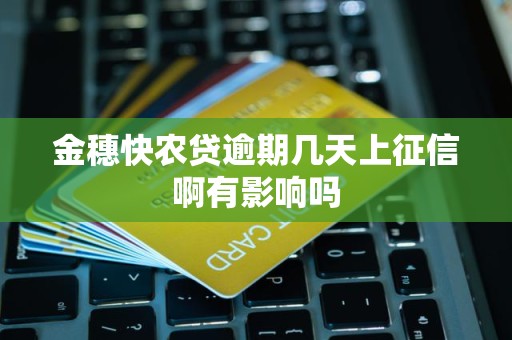 金穗快农贷逾期几天上征信啊有影响吗