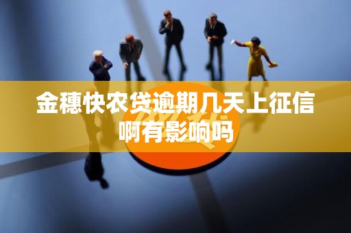 金穗快农贷逾期几天上征信啊有影响吗