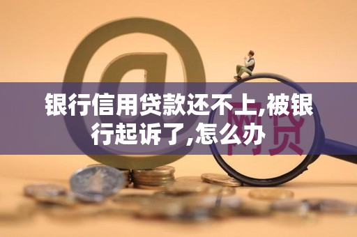 银行信用贷款还不上,被银行起诉了,怎么办