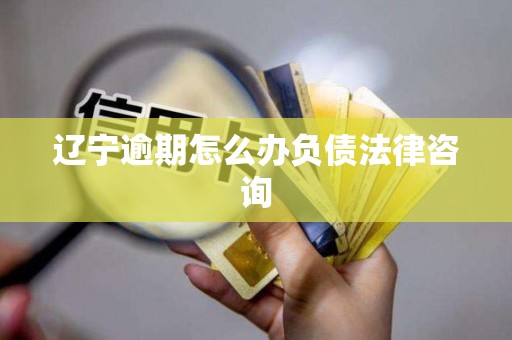 辽宁逾期怎么办负债法律咨询 辽宁逾期怎么办负债法律咨询