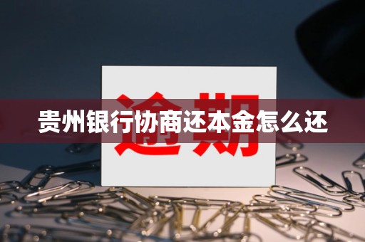 贵州银行协商还本金怎么还