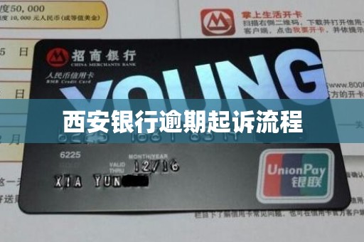 西安银行逾期起诉流程