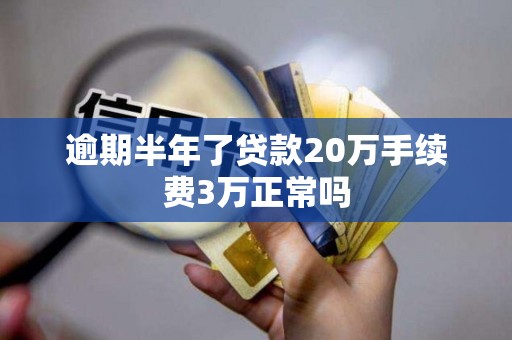 逾期半年了贷款20万手续费3万正常吗