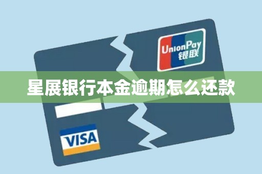 星展银行本金逾期怎么还款