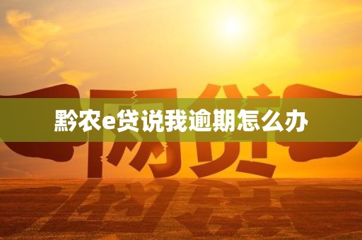 黔农e贷说我逾期怎么办