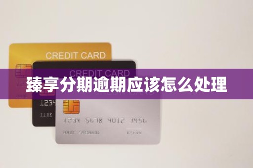 臻享分期逾期应该怎么处理
