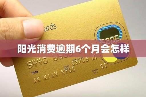 阳光消费逾期6个月会怎样