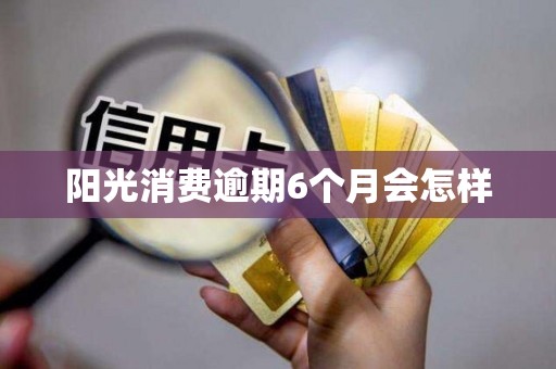 阳光消费逾期6个月会怎样