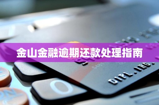 金山金融逾期还款处理指南