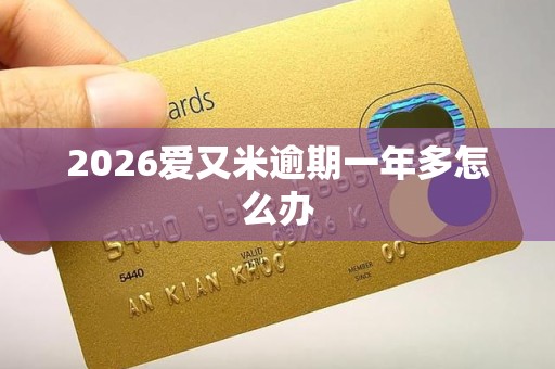 2026爱又米逾期一年多怎么办