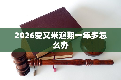 2026爱又米逾期一年多怎么办