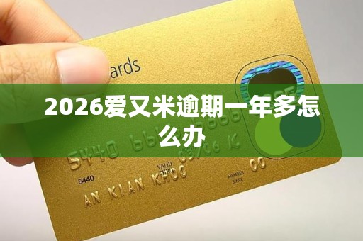 2026爱又米逾期一年多怎么办